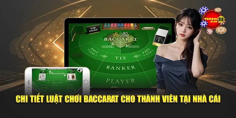 Chi tiết luật những yêu cầu và quy định cơ bản thành viên cần nắm rõ